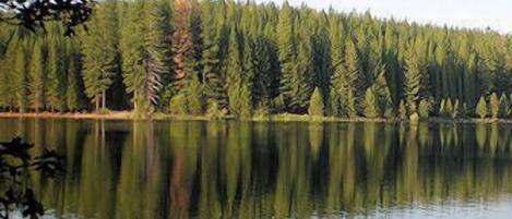 Un lac paisible, bordé d’une forêt dense d’un côté, et un ciel dégagé au-dessus.