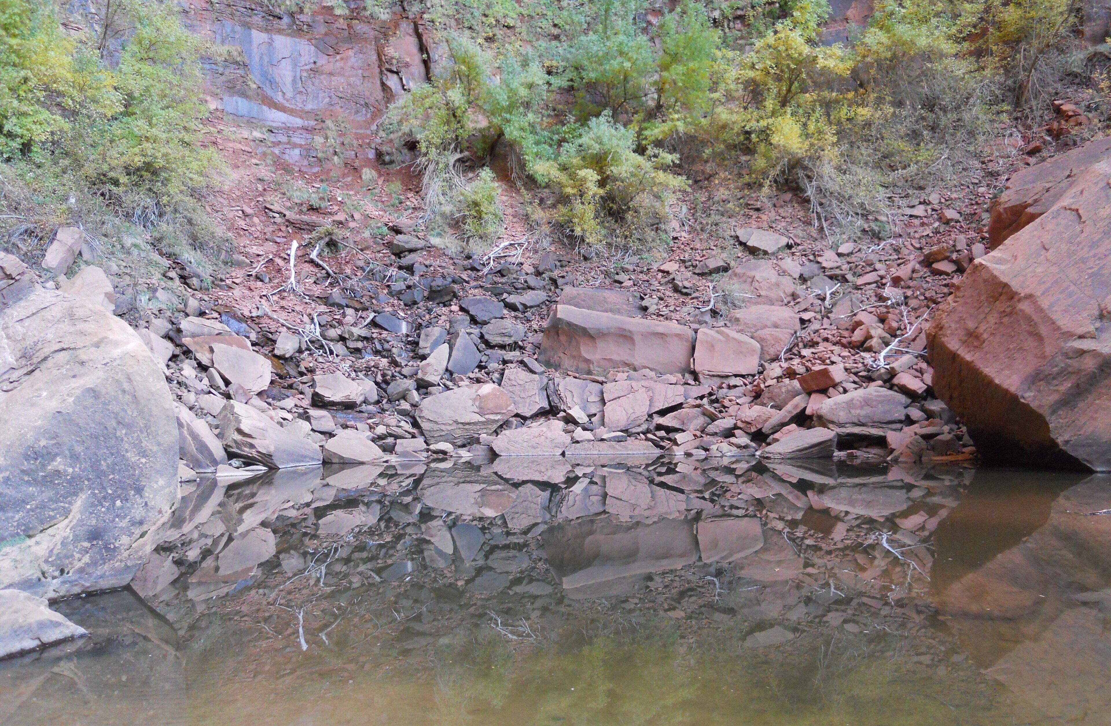 A rocky stream with clear water, surrounded by red rocks and sparse vegetation.