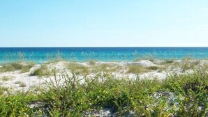 A beach with clear blue water and sandy dunes.