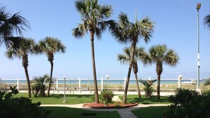 A pathway lined with palm trees, a white fence, and a view of the ocean.