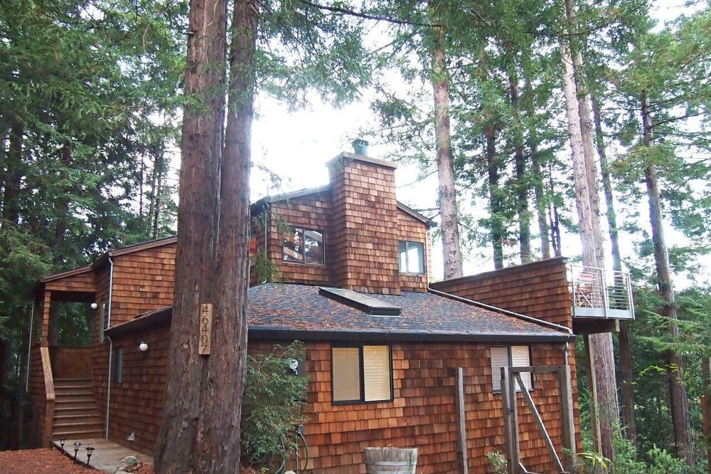 Canyon View Cabin in the Redwoods