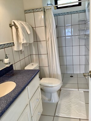 Shower, hair dryer, bidet, towels