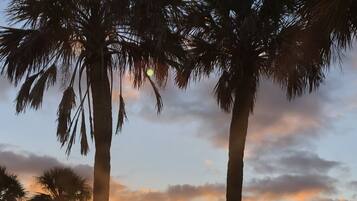 Sun-loungers, beach towels
