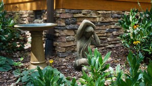 Een tuin met een stenen beeld, een vogelbad en diverse planten.
