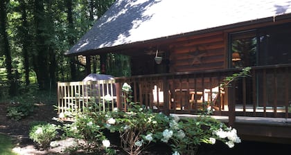 The Cozy Cabin In Black Mountain
