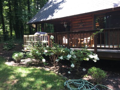 The Cozy Cabin In Black Mountain