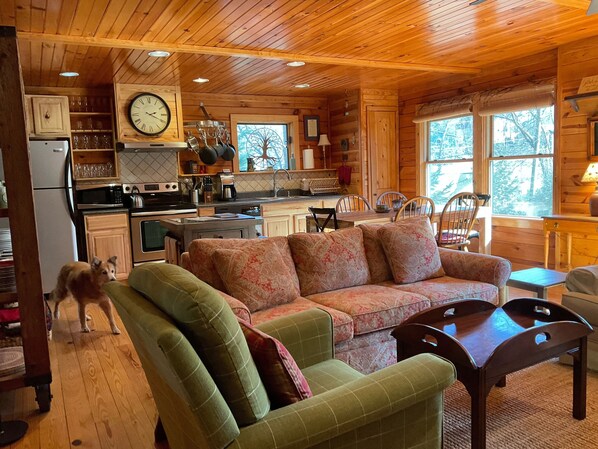 Smart TV, fireplace, DVD player, books