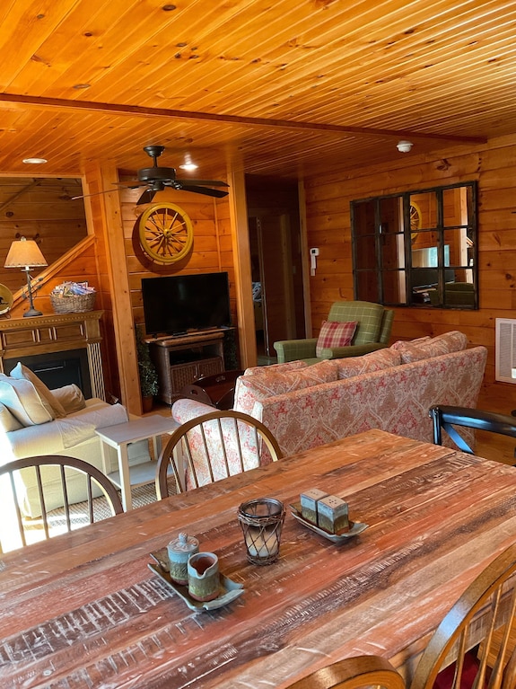 The Cozy Cabin In Black Mountain - Black Mountain, NC