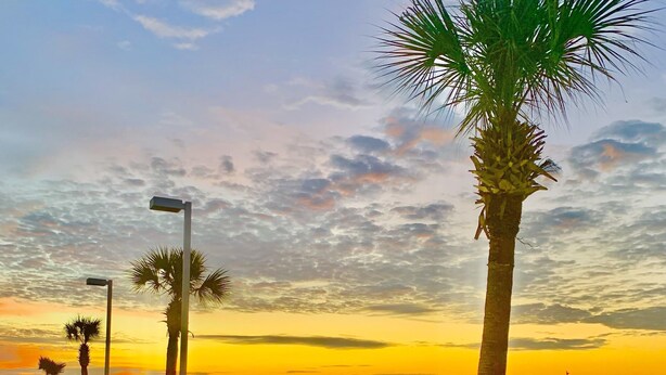 A beachside promenade with rows of sun loungers and palm trees, overlooking the ocean. - Reduced rates!!  A+ Spectacular Beach Front Condo! 2BR 2BA!  Sleeps up to 6. (Orange Beach)