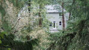A house surrounded by dense forest.
