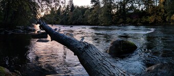 Large Family Friendly House on the Santiam River w/ Hobbit Door!