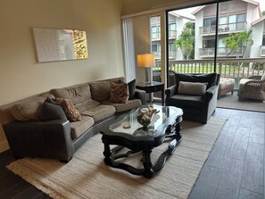 Smart TV, books, computer monitors