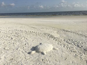 Beach nearby - Luxury condo steps away from Siesta Key public beach (Siesta Key)