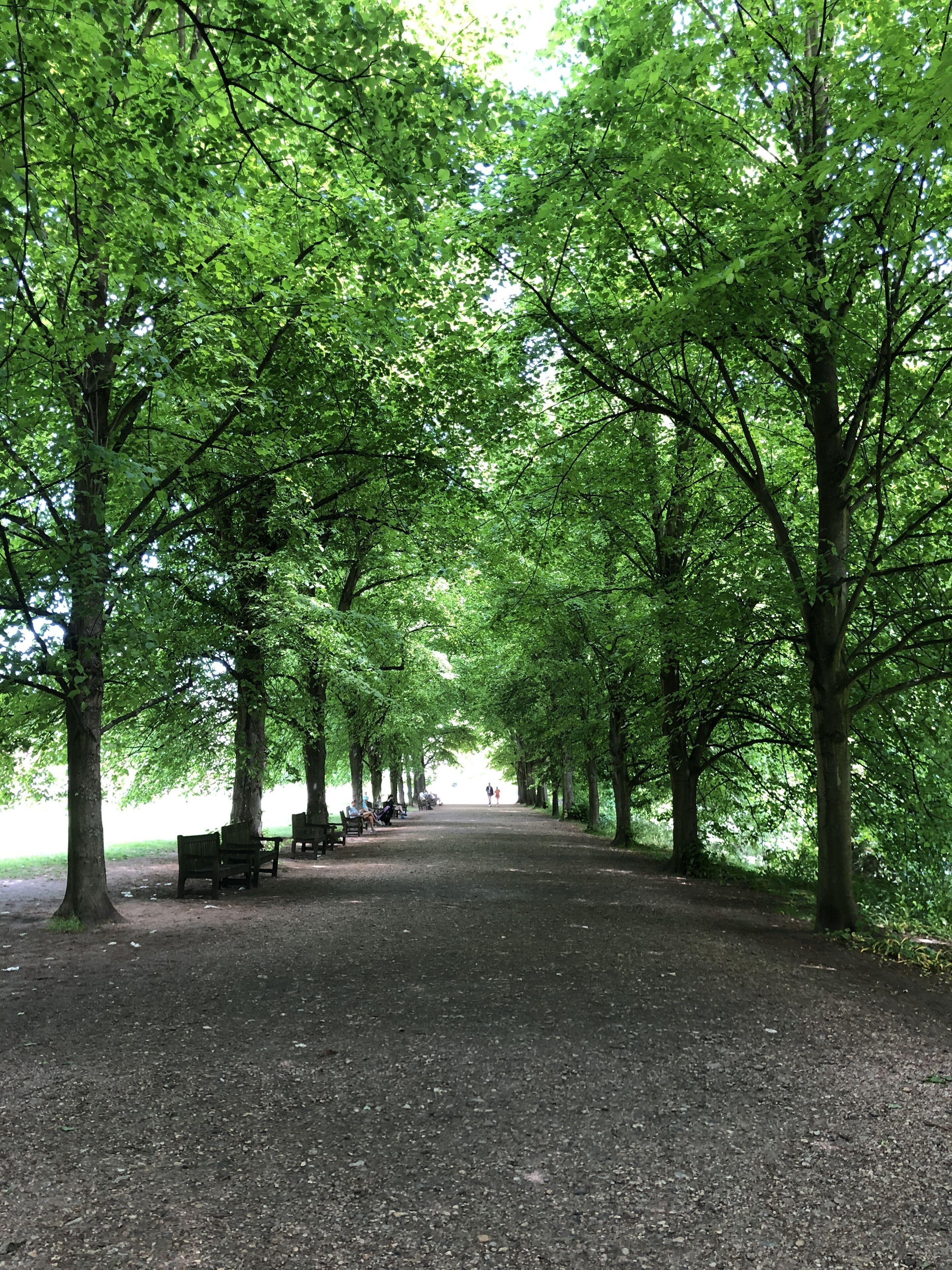 Tree lined avenue leading up to Kenwood House, 17th Century stately home. 