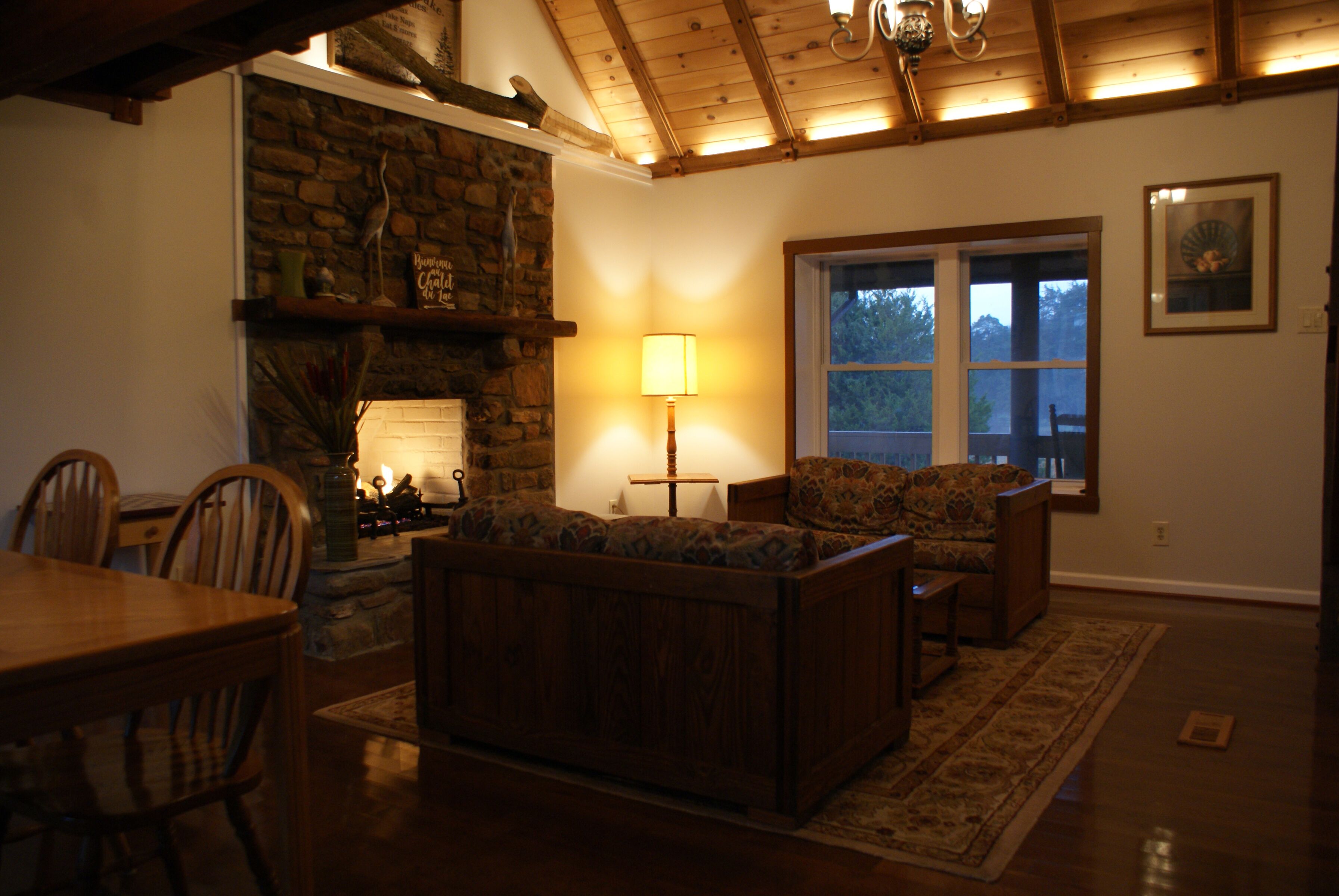 智能電視、壁爐、DVD 播放機、書籍