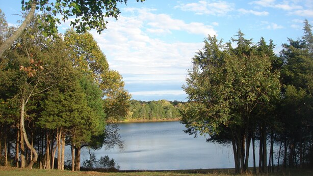 Un lac paisible, bordé d’arbres.