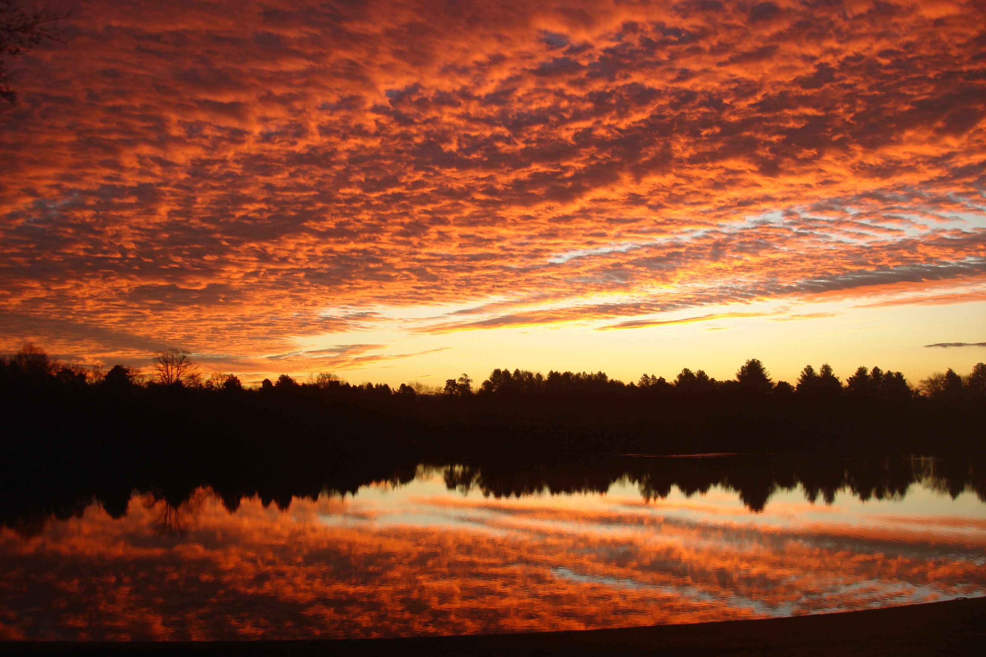 Un coucher de soleil sur un lac paisible, avec la silhouette d’une forêt en arrière-plan.