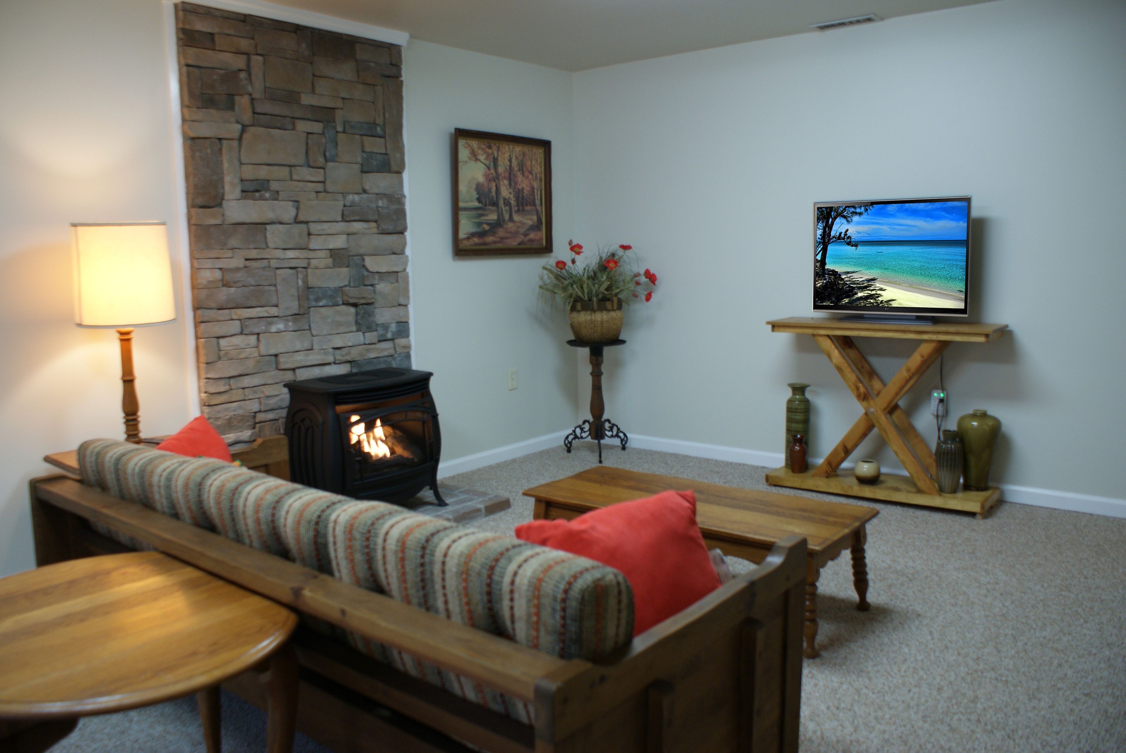 Smart TV, fireplace, DVD player, books