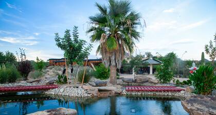 Perheystävällinen kaunis North Scottsdale Gem; Rauhallinen mutta kätevä sijainti