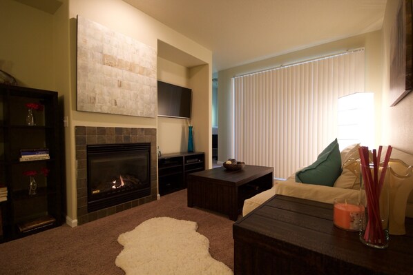 TV, fireplace, books