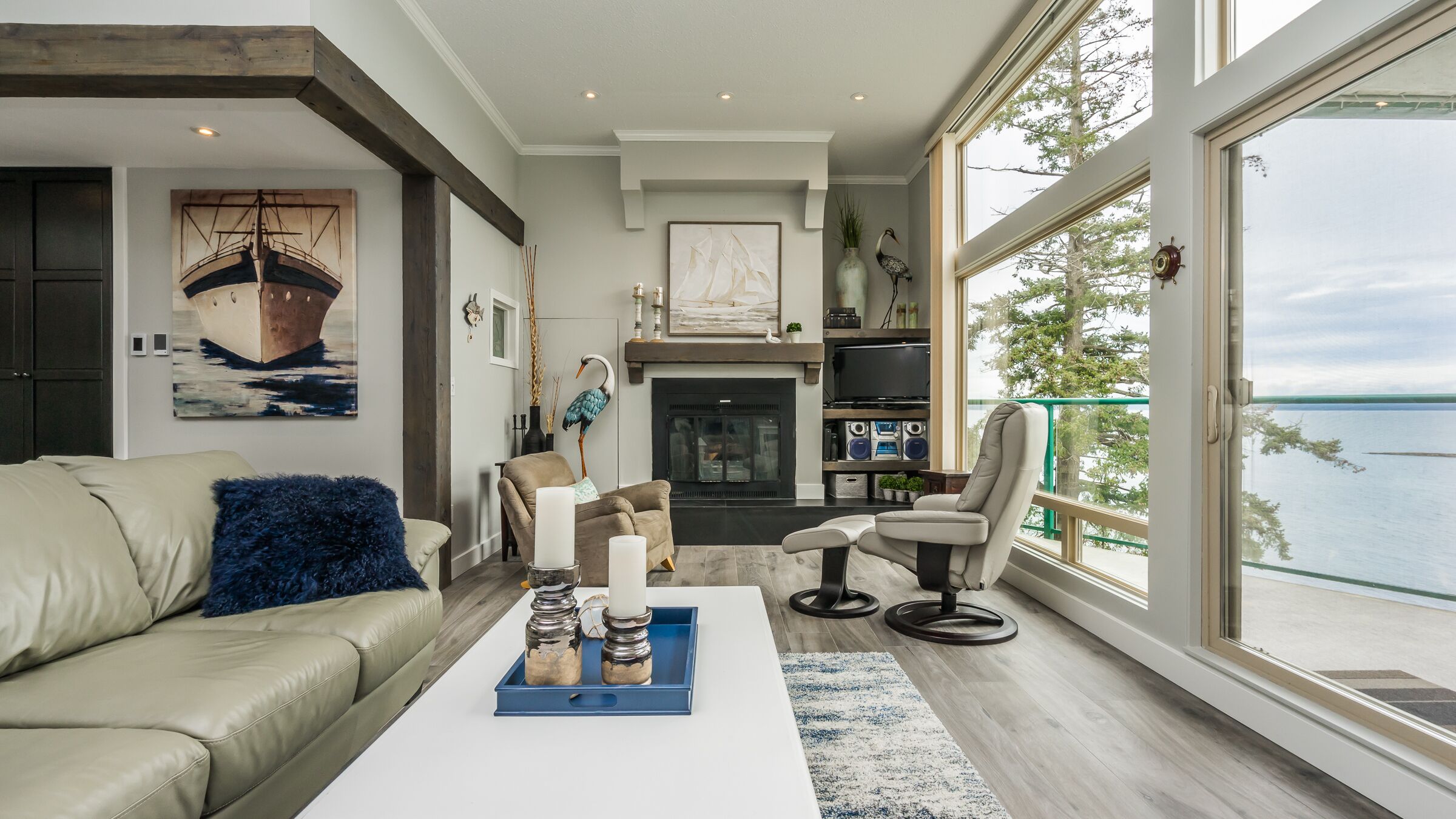 電視、壁爐、DVD 播放機、書籍