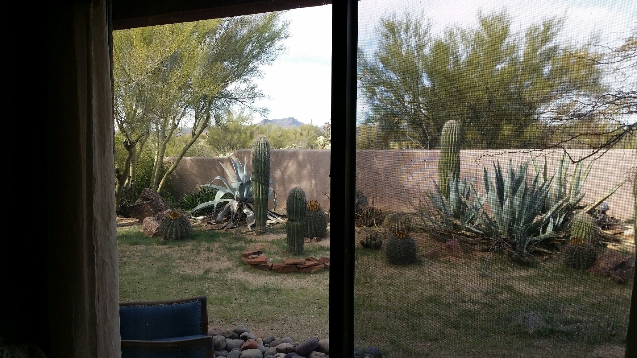 view from the bed