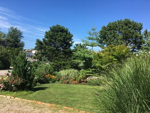 A well-maintained garden with various trees and shrubs, a clear blue sky, and a residential area in the background.