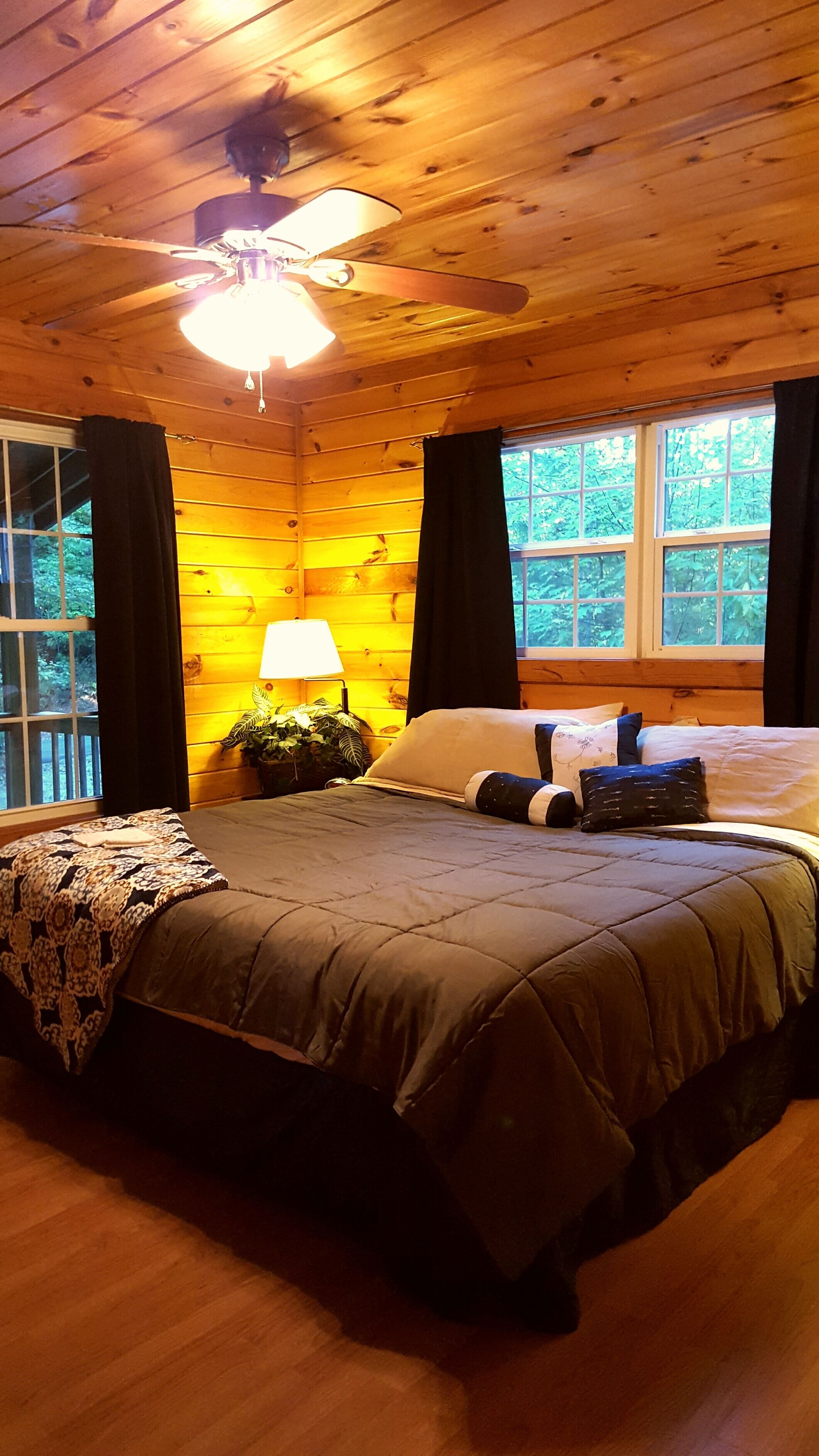 Privacy in the Mountains - King Beds, Firepit, BRAND NEW hot tub with speakers!