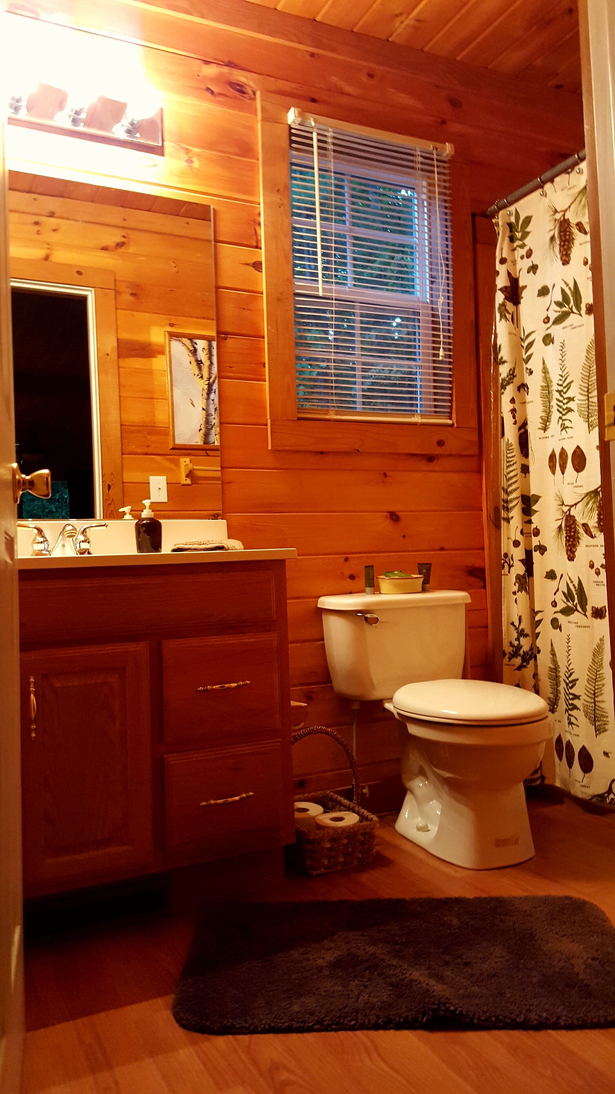 Privacy in the Mountains - King Beds, Firepit, BRAND NEW hot tub with speakers!