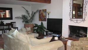 Una sala de estar con sofá, sillón, televisor, chimenea y una planta grande.