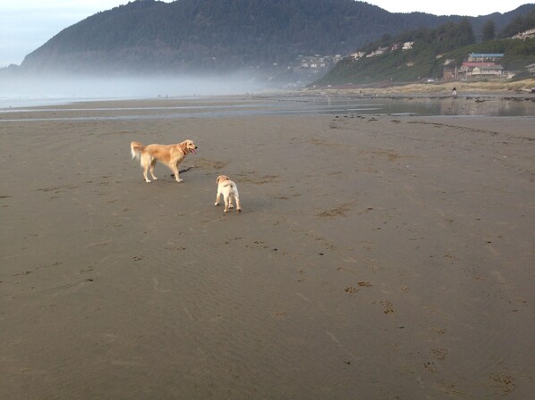 Beach nearby