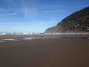 Beach nearby - Manzanita Beach Charmer! Dog Friendly Home with a Short Walk to Beach ~MCA#1012 (Manzanita)