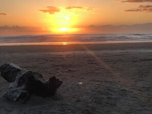 Playa en los alrededores 