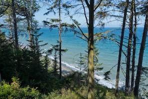 A coastal forest with tall trees and a view of the ocean. - Beautiful Water Views & Private Beach Trail Between Sequim & PA (Port Angeles)