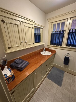 Combined shower/bathtub, hair dryer
