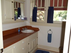 Tina con regadera y secadora de cabello 