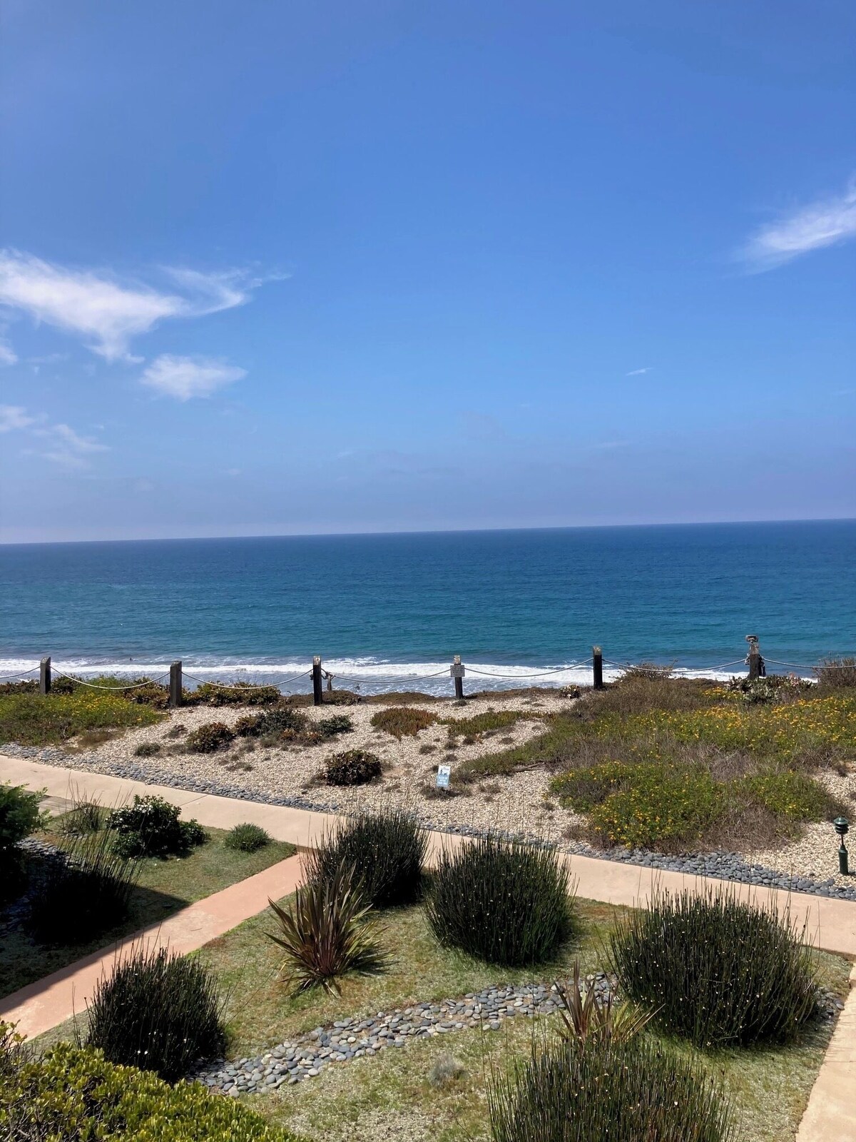 Imagen de perfil del propietario o de la propietaria