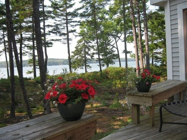 Terrace/patio - Wonderful Cape with Stunning Waterviews and Sunsets (Waldoboro)