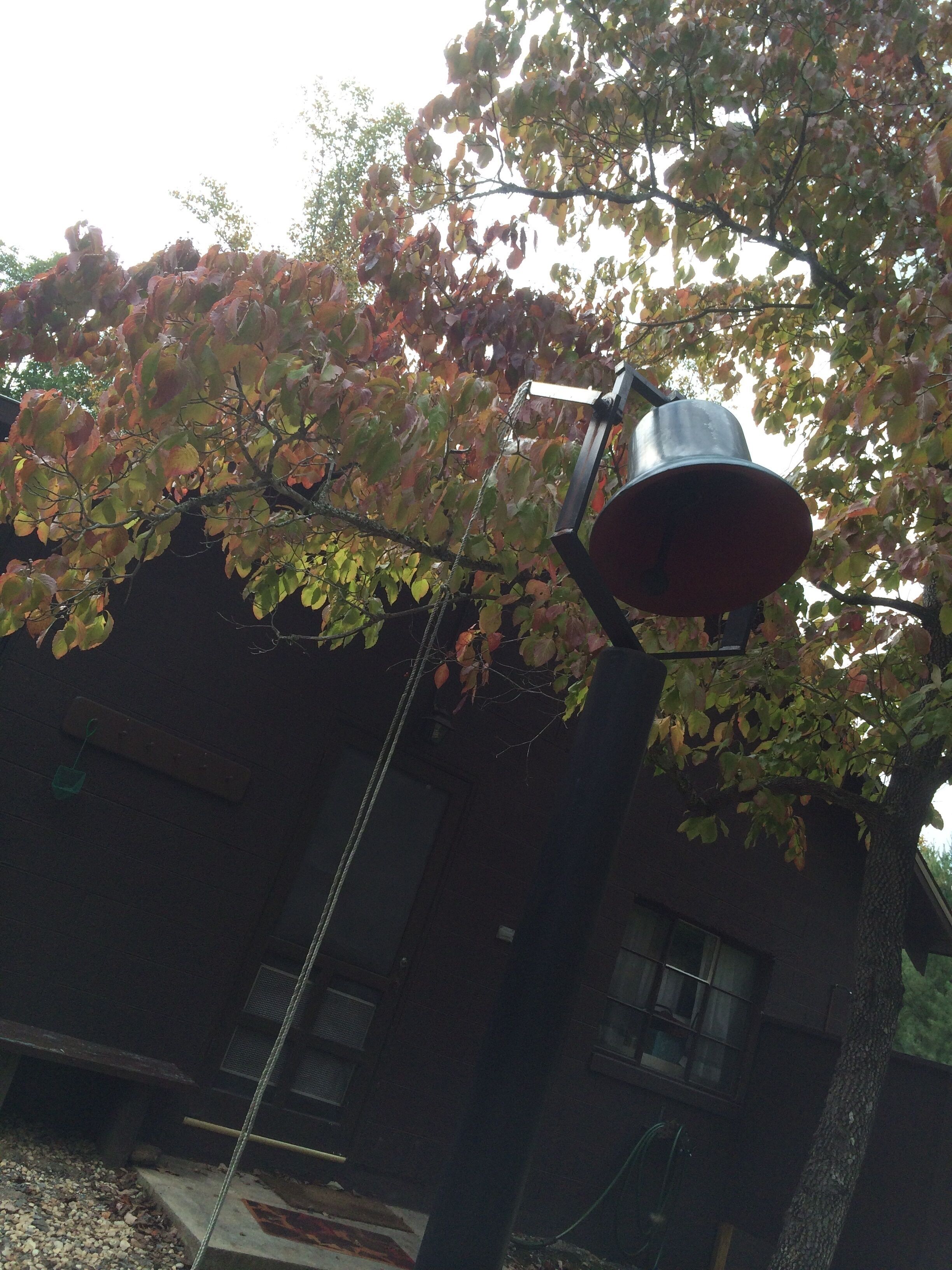 A bell mounted on a pole with a rope, attached to a tree with autumn leaves.