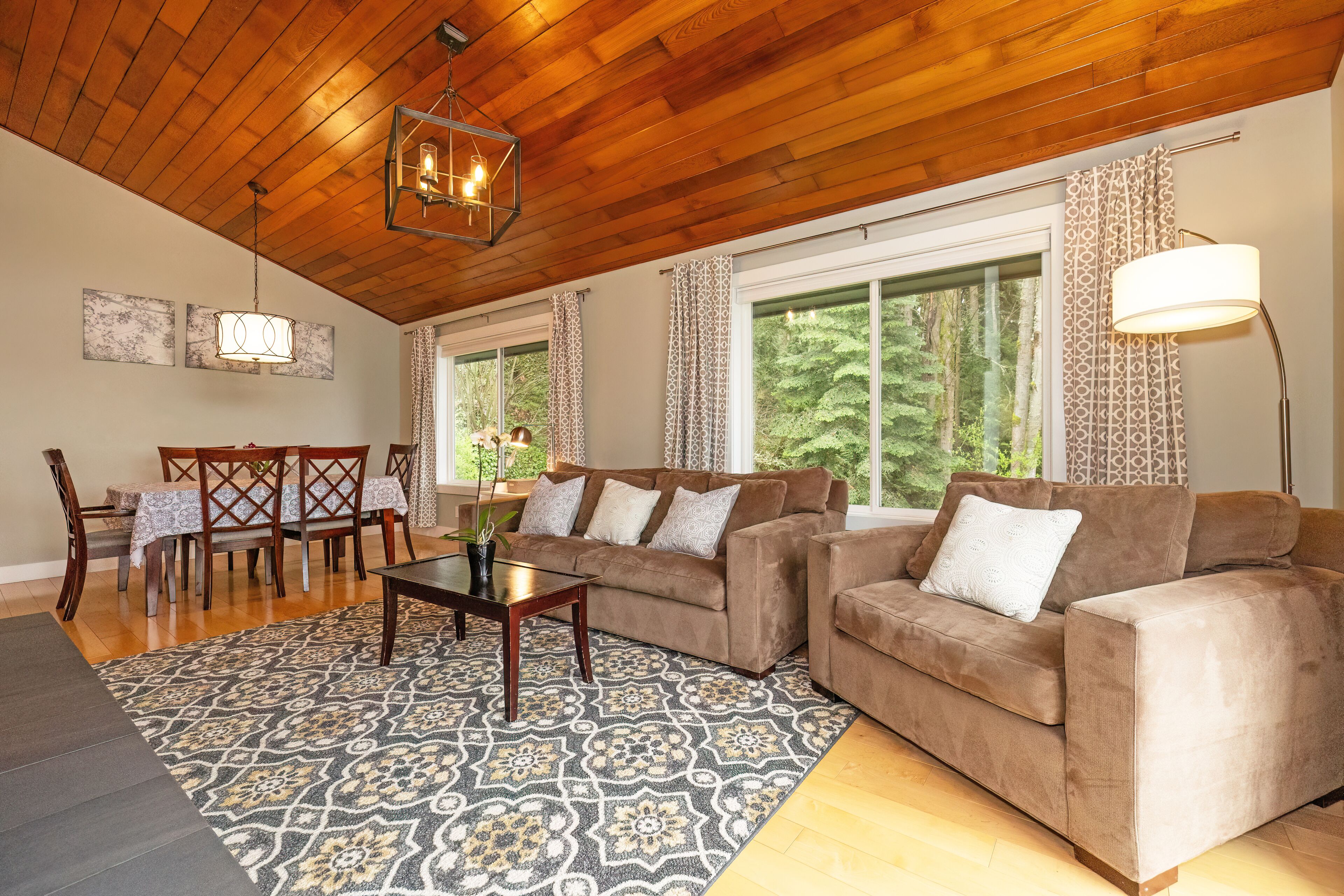 TV connectée, cheminée, jeux vidéo, lecteur de DVD