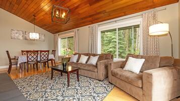 TV connectée, cheminée, jeux vidéo, lecteur de DVD