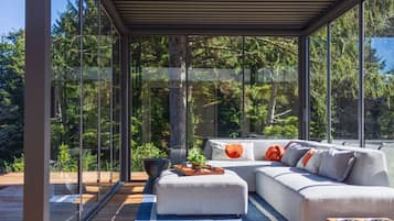 Smart TV, Netflix, streaming services