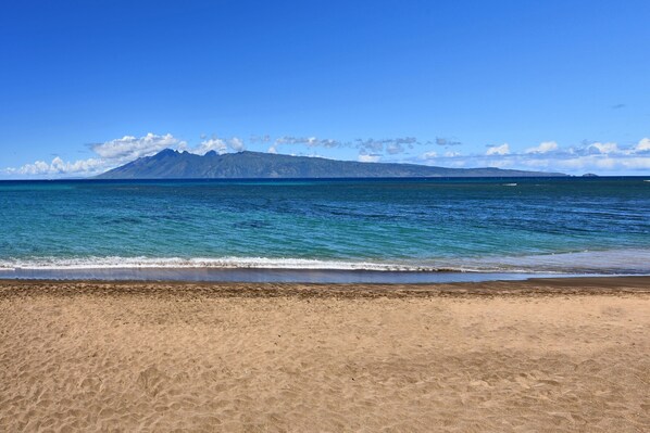 On the beach, sun loungers, beach towels