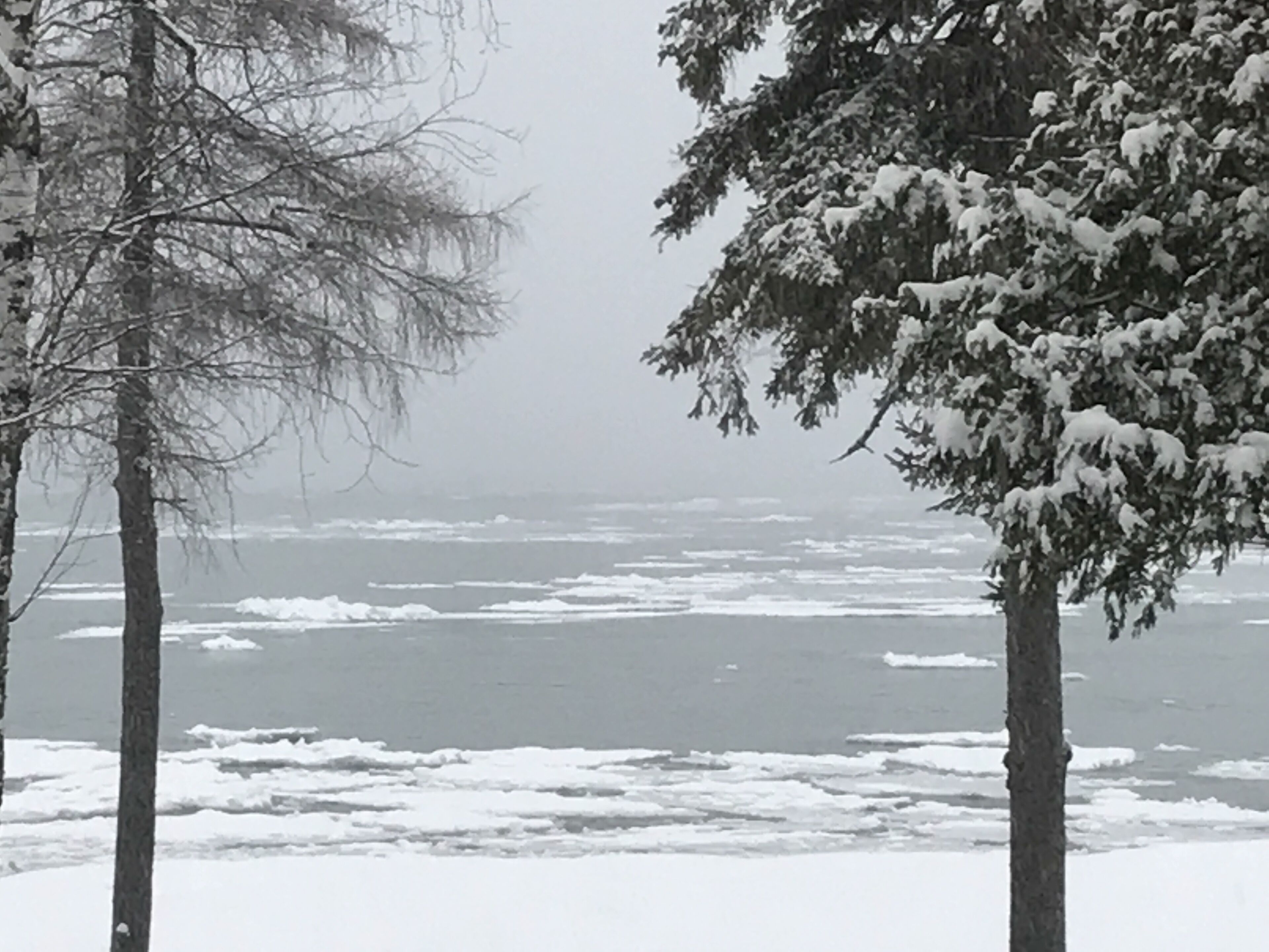 A snowy landscape with trees and a frozen body of water.