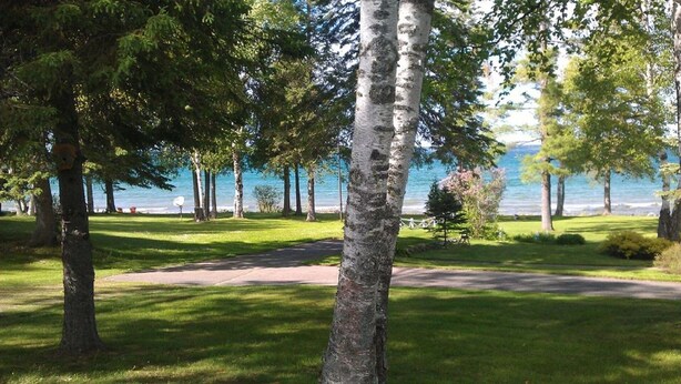 Un parco con un sentiero che conduce a un lago, circondato da alberi e prato.