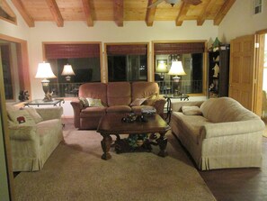 TV, fireplace, video games, DVD player