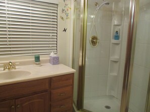 Bathtub, hair dryer, towels, soap