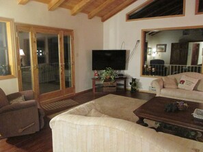 Télévision, cheminée, jeux vidéo, lecteur de DVD