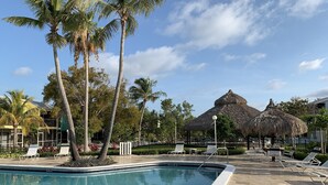 A swimming pool with lounge chairs and palm trees. - Updated Key Largo Townhome • Pool • Saltwater Lagoon • Beach • Oceanfront Access (Key Largo)