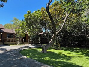 Um bairro residencial com uma casa, uma entrada de automóveis e um gramado bem cuidado.